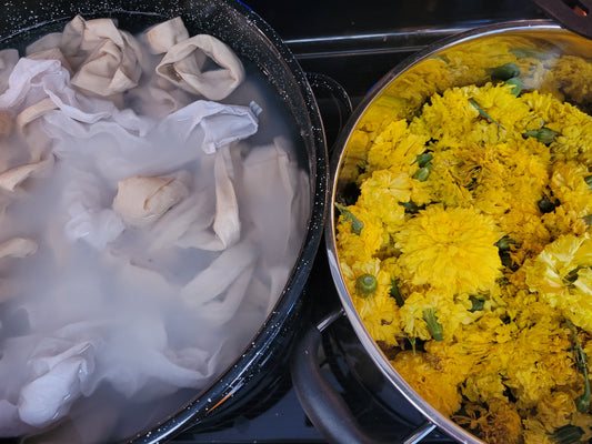 Marigolds for the Dye Garden: Bold Blooms, Brilliant Color