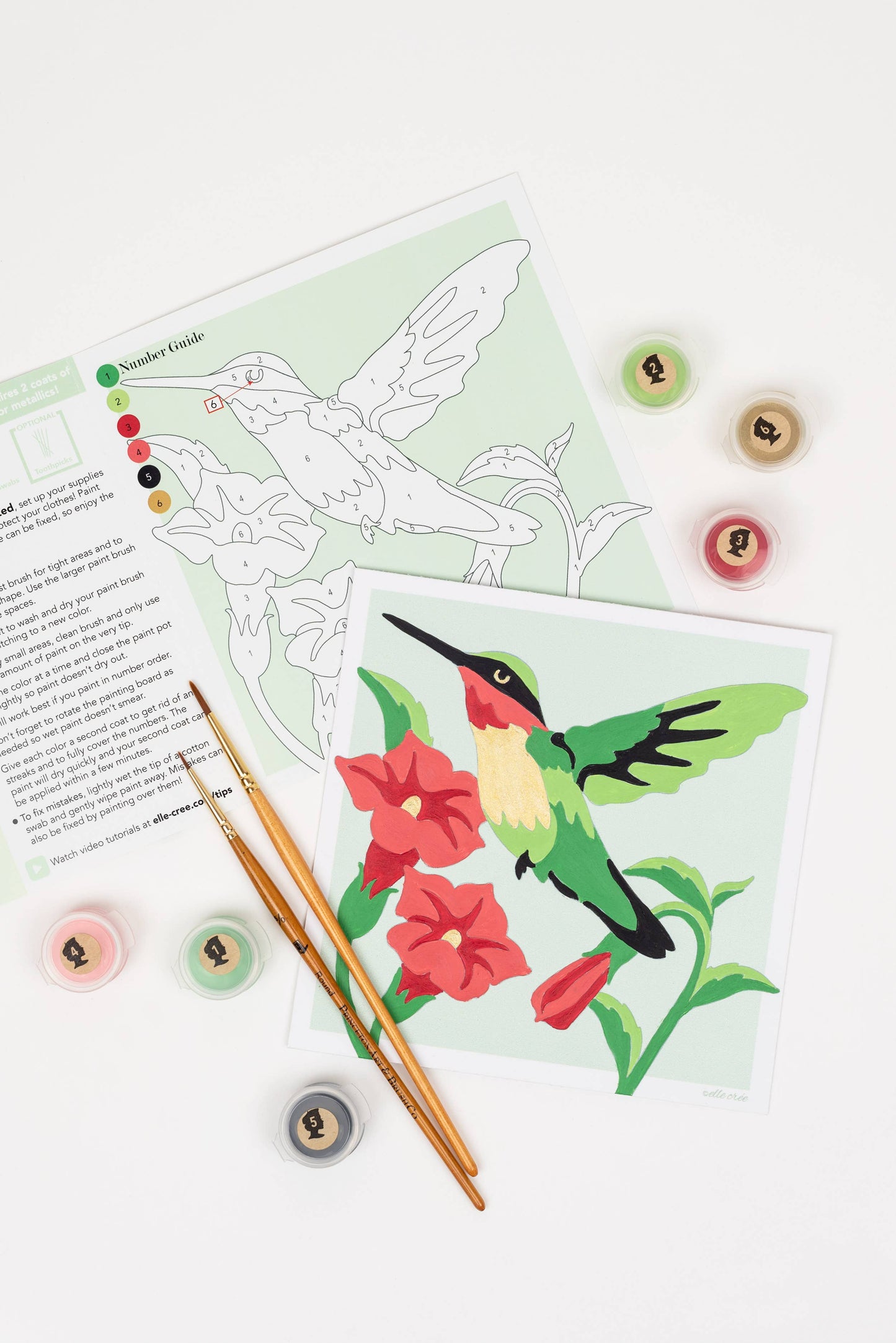 Hummingbird MINI Paint-by-Number Kit