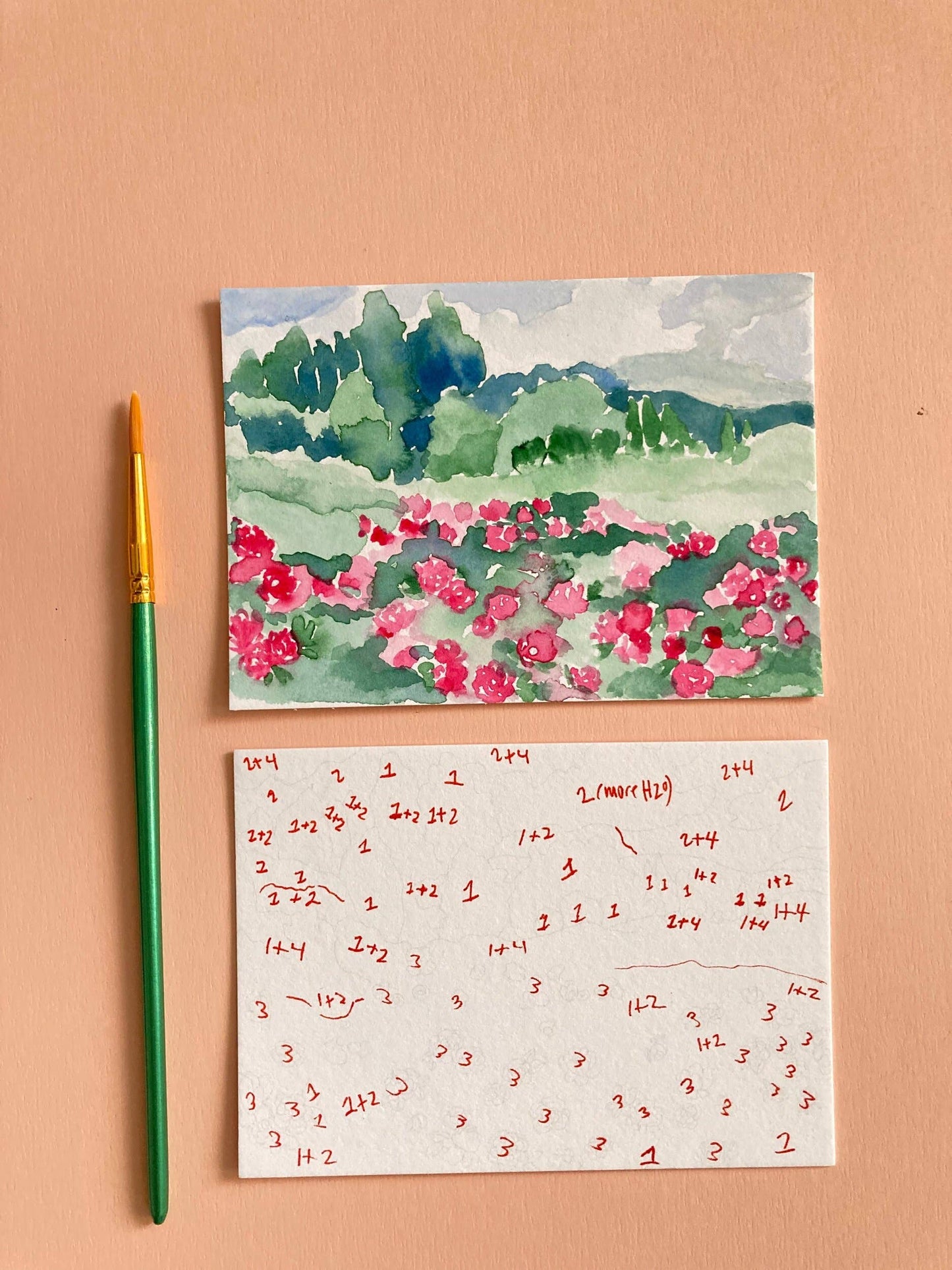 Rose Flowers Landscape Paint by Number DIY Watercolor Kit
