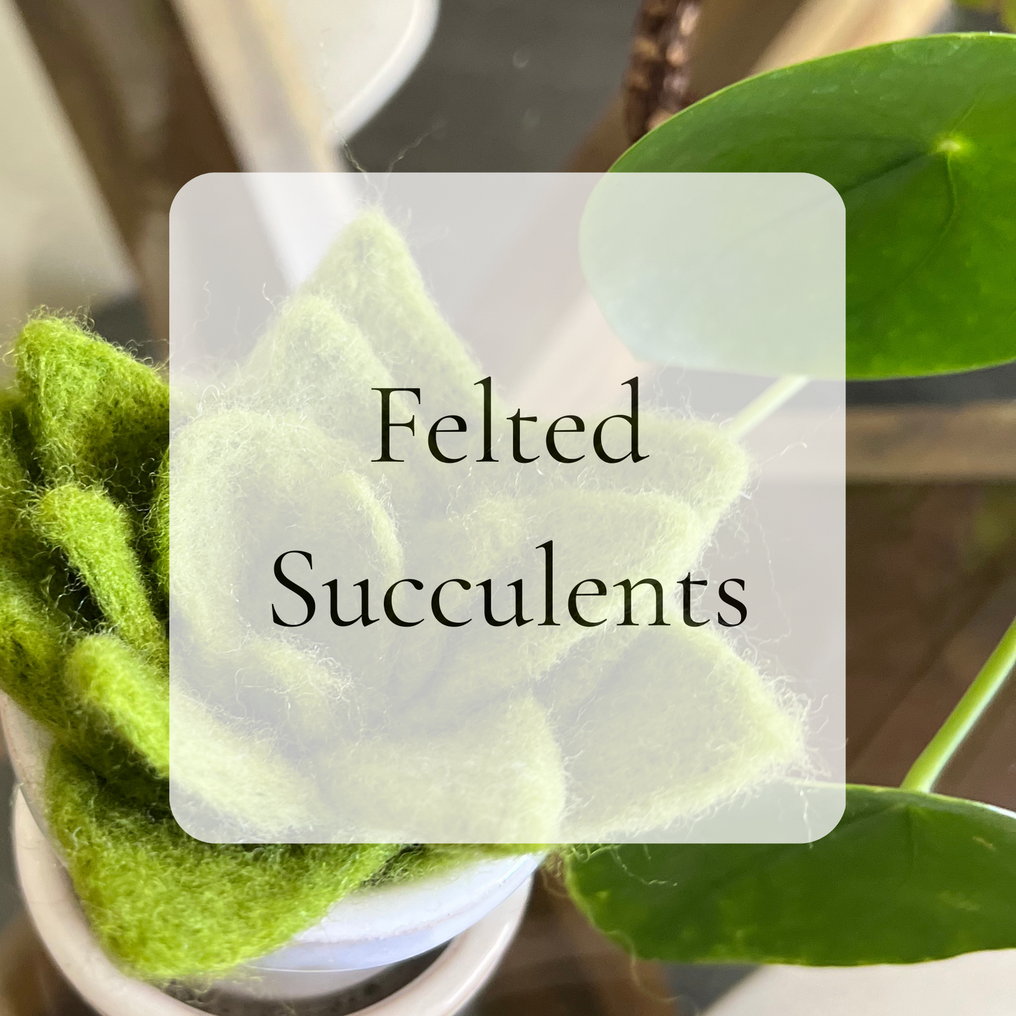 {8/21} Needle Felted Succulents