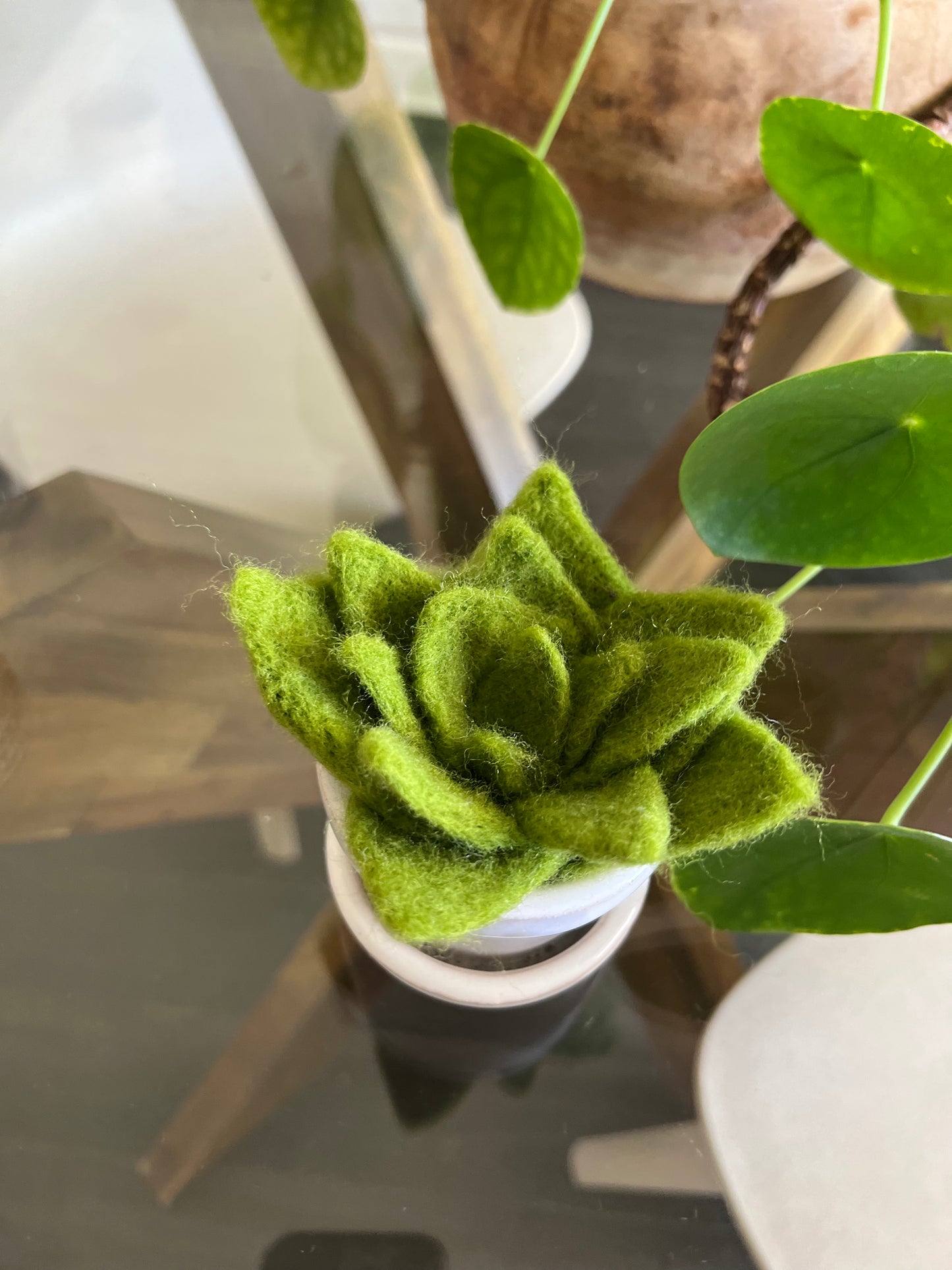 {8/21} Needle Felted Succulents