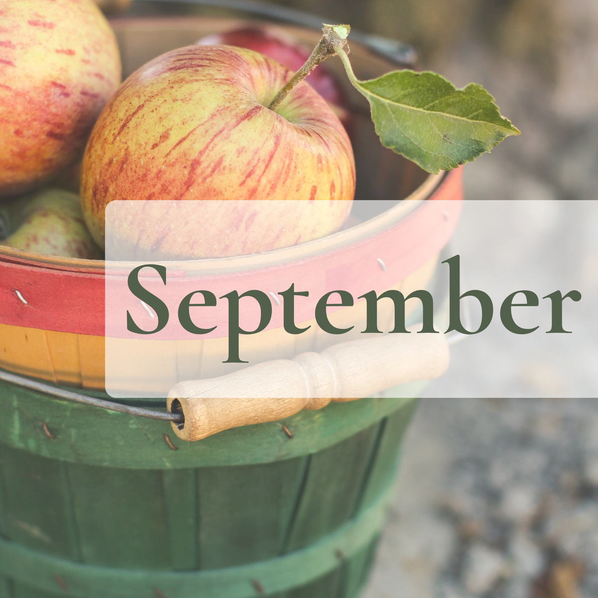 September