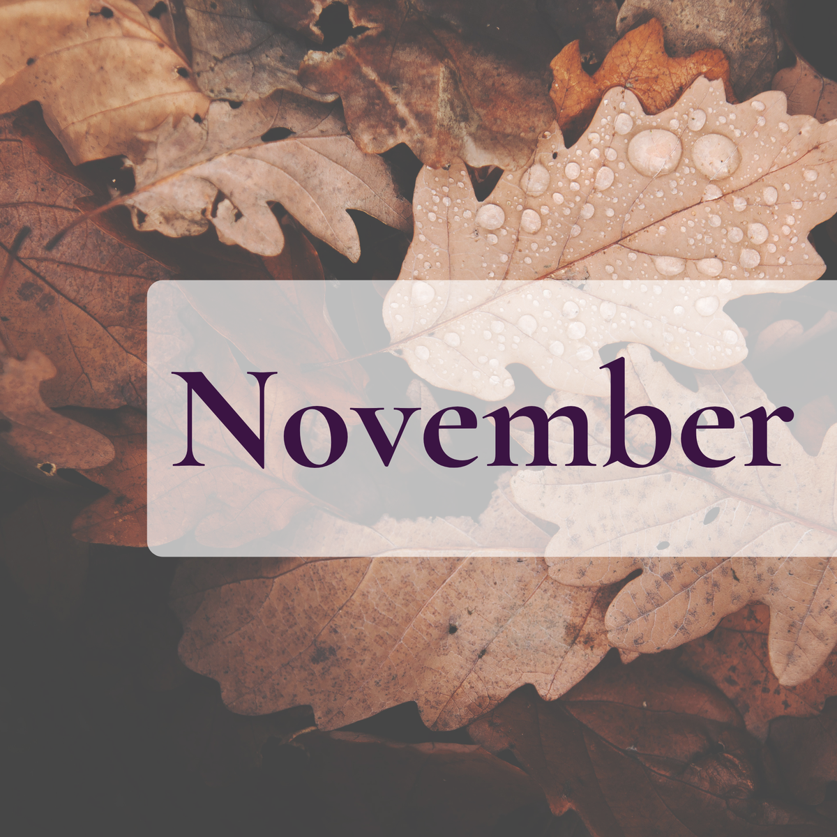 November