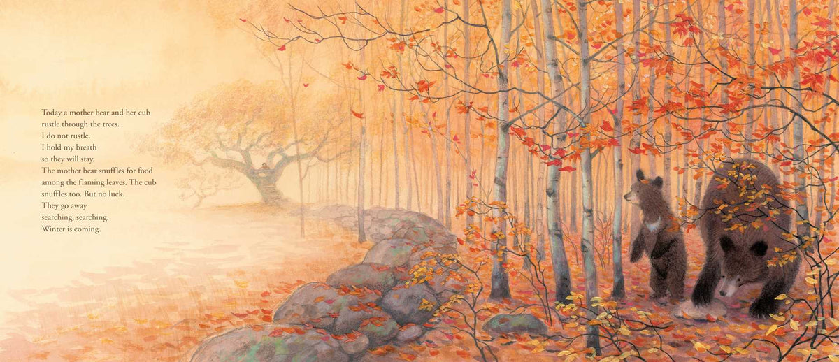 Illustration of two bears in a forest with autumn foliage and rocks.