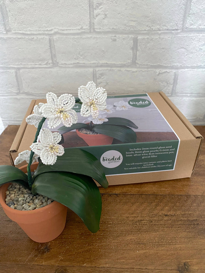 Orchid Plant Beading Craft Kit