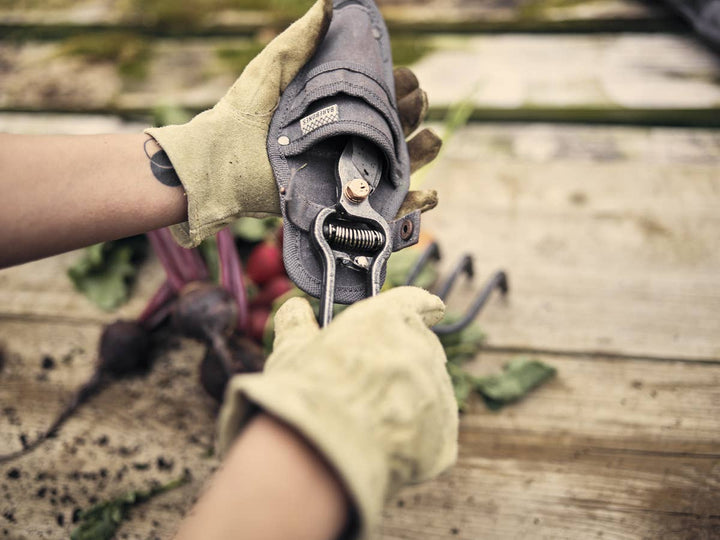 Pruner with Sheath - Premium Gardening Tool