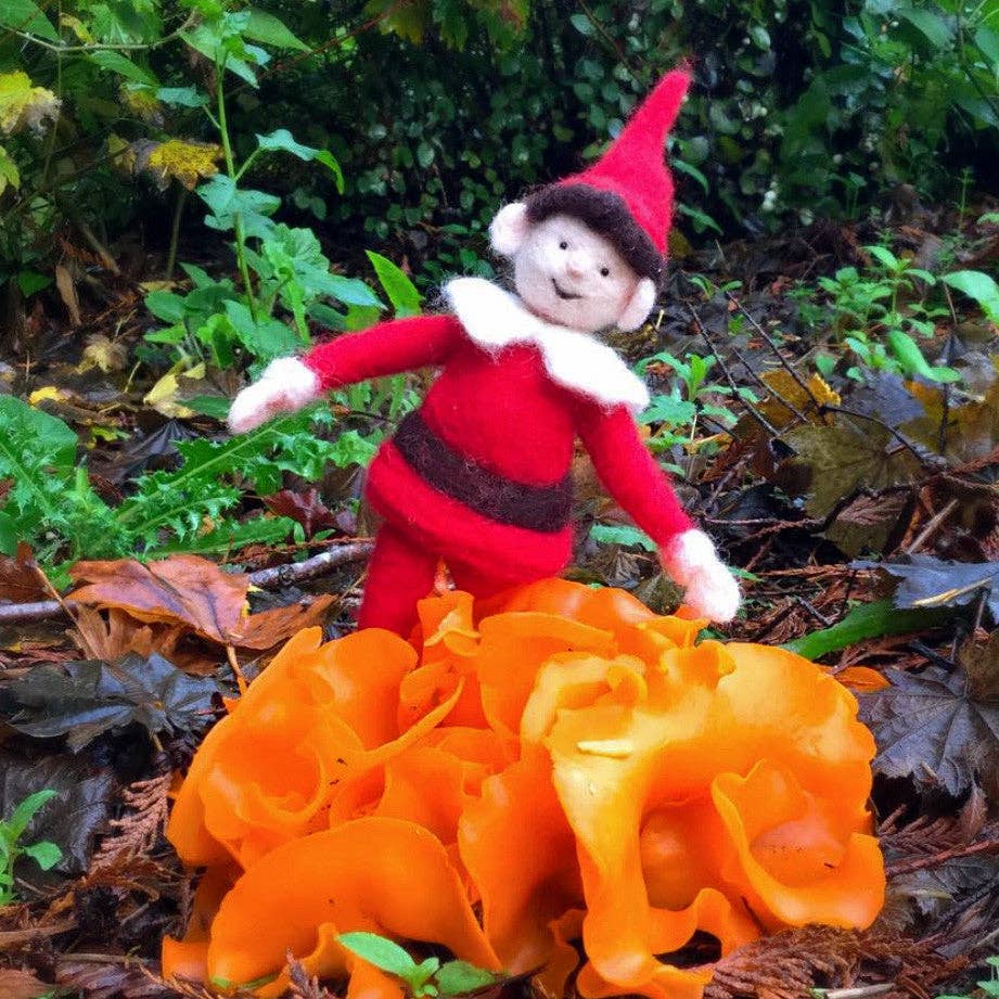 Elf Felting Kit