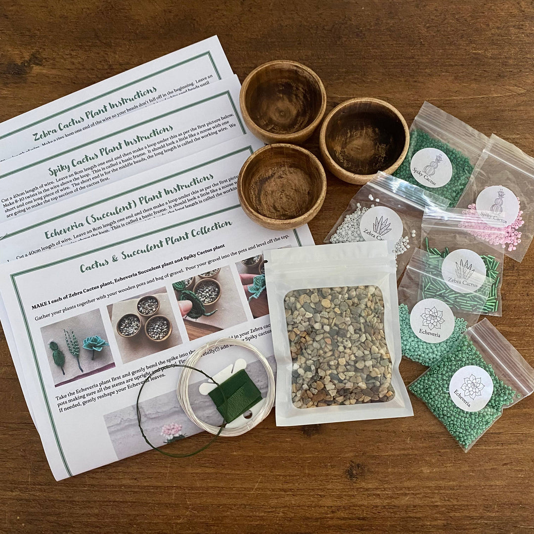 Beaded Garden Cactus Collection Craft Kit