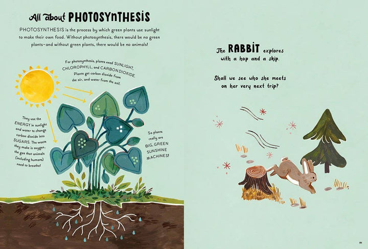 5-Minute Nature Stories | Gabby Dawnay &amp; Mona K