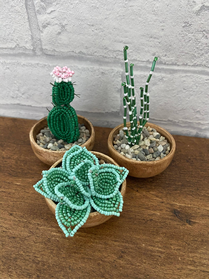 Beaded Garden Cactus Collection Craft Kit