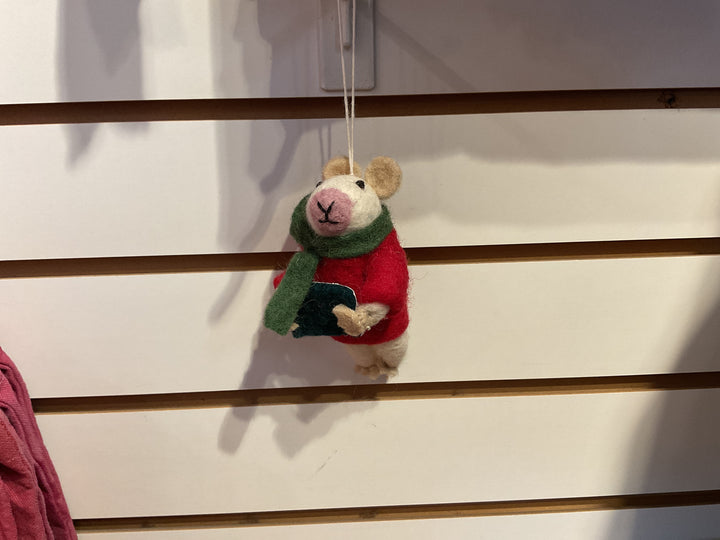 Nelson Mouse