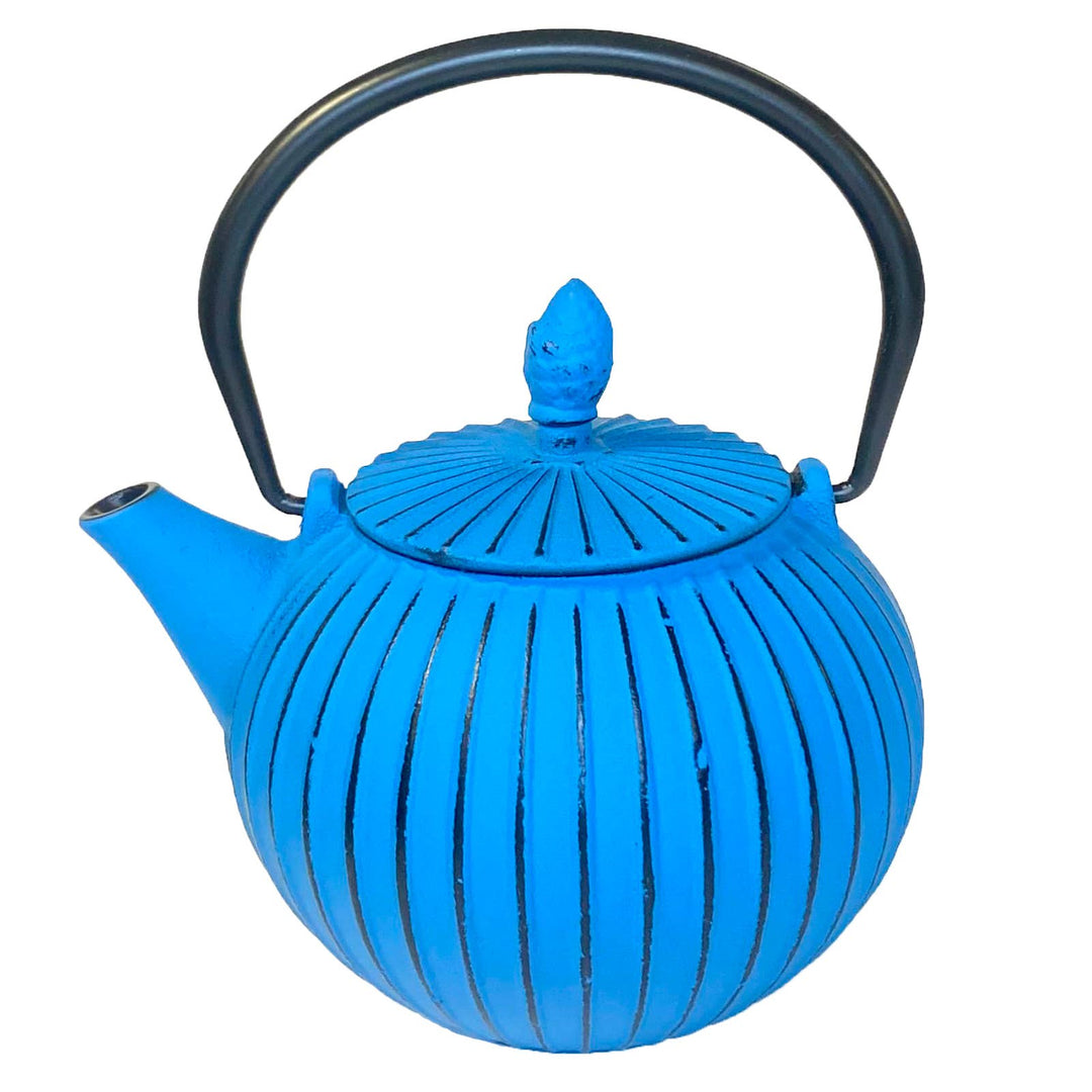 Cast Iron Teapot with Infuser