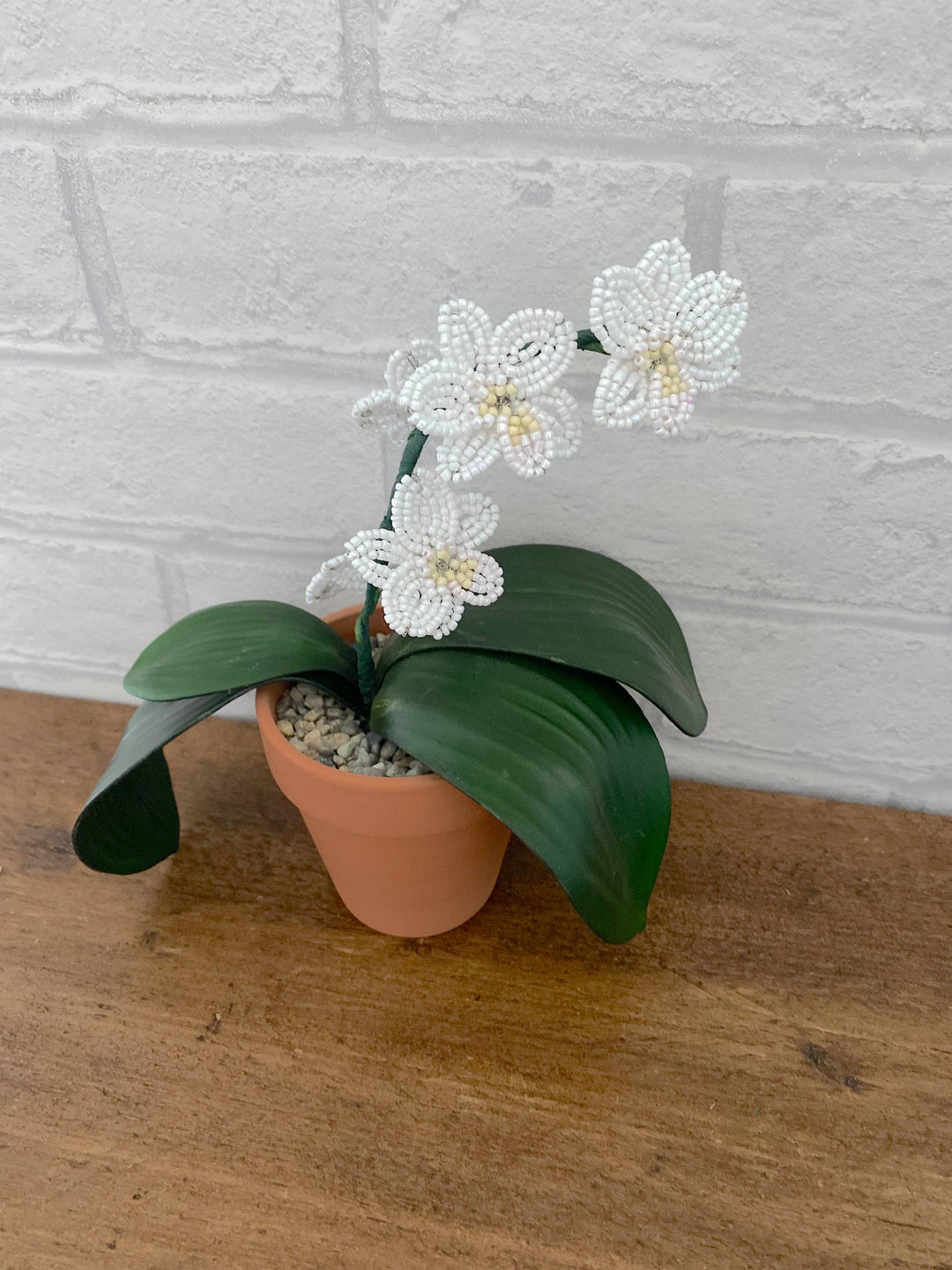 Orchid Plant Beading Craft Kit