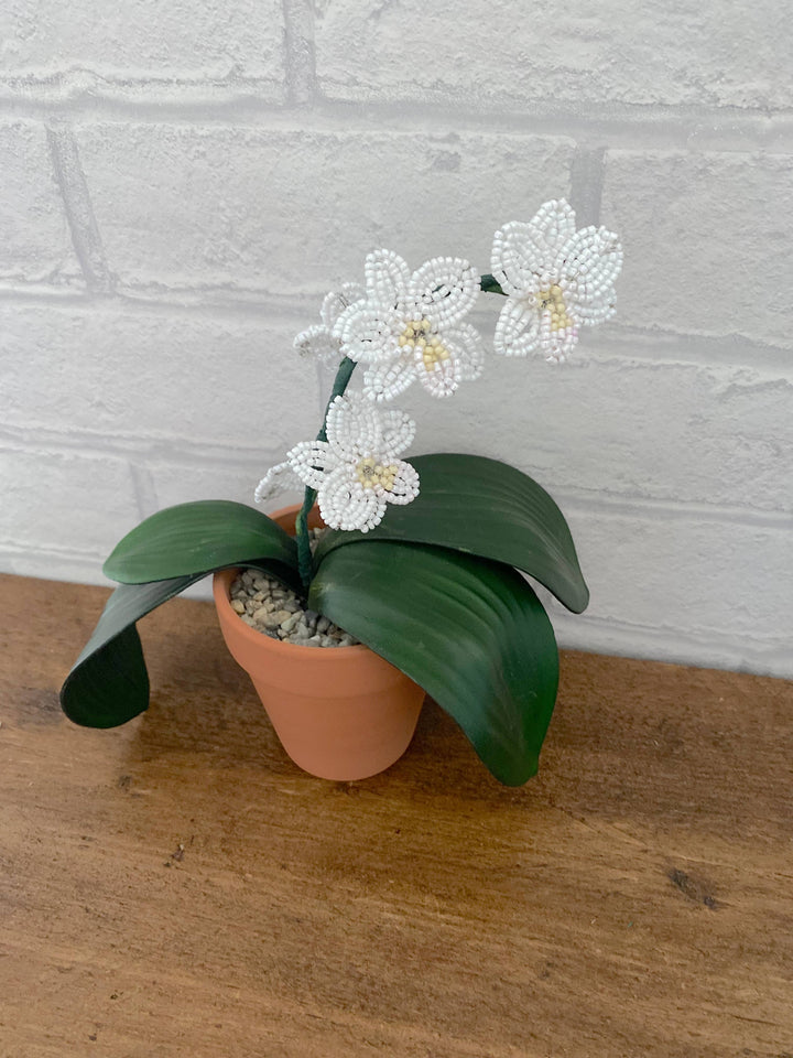 Orchid Plant Beading Craft Kit