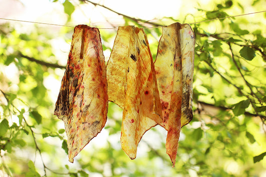 {5/22 • 5/29 • 6/5} Intro to Botanical Dyeing: dyeing fiber and fabric with plants