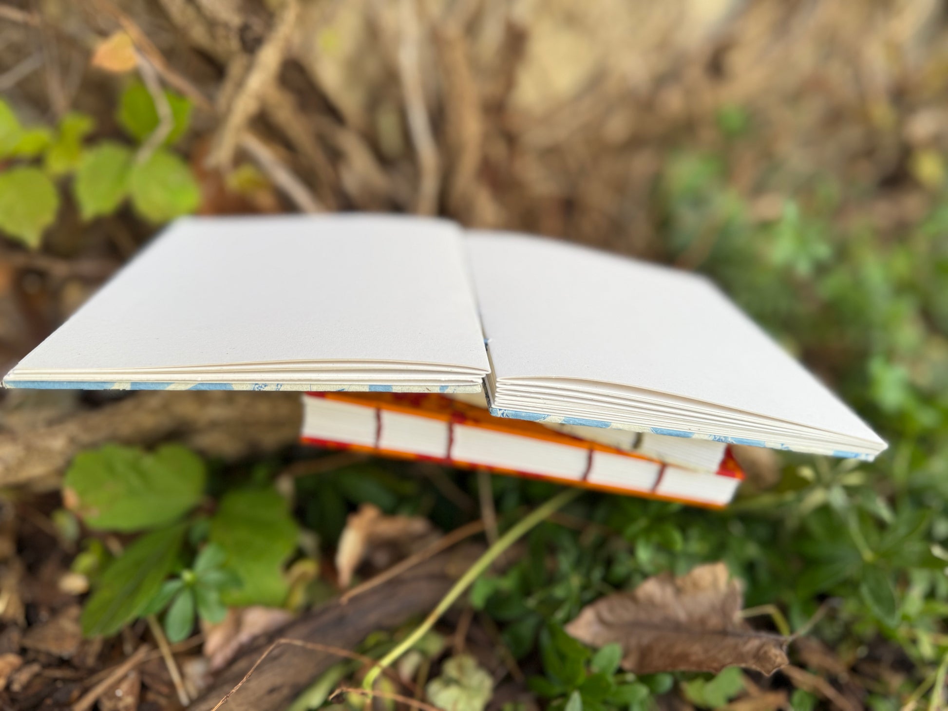 Stack of books with colorful spines on a natural background