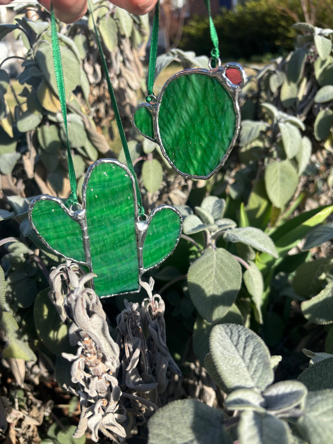 {8/19 or 20} Beginning Stained Glass: Desert Cactus
