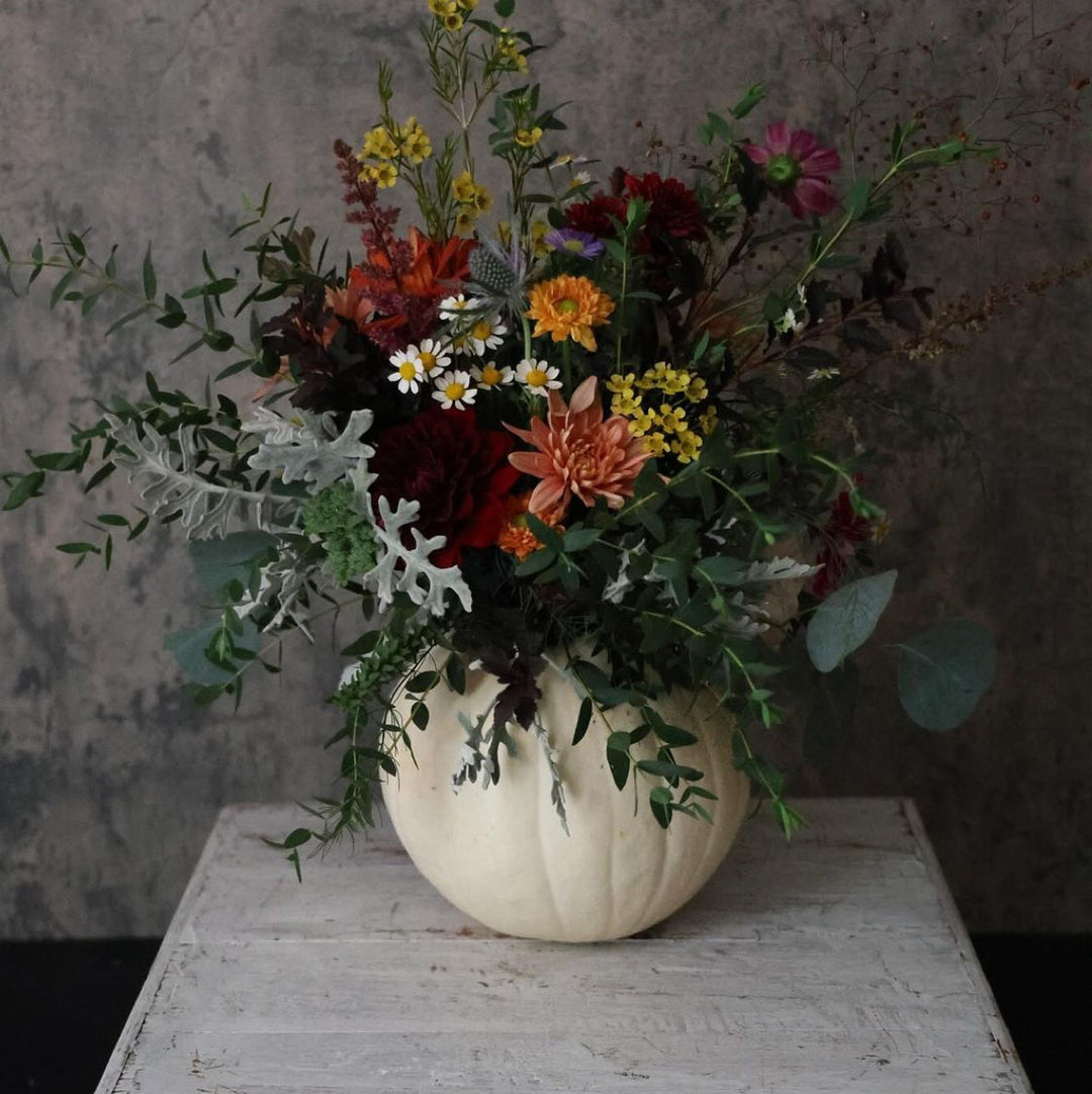 An autumn floral arrangement in a ribbed cream-colored pumpkin vase, featuring a mix of red, orange, yellow, and white wildflowers with green and silver foliage, displayed on a distressed white wooden table against a textured gray wall.