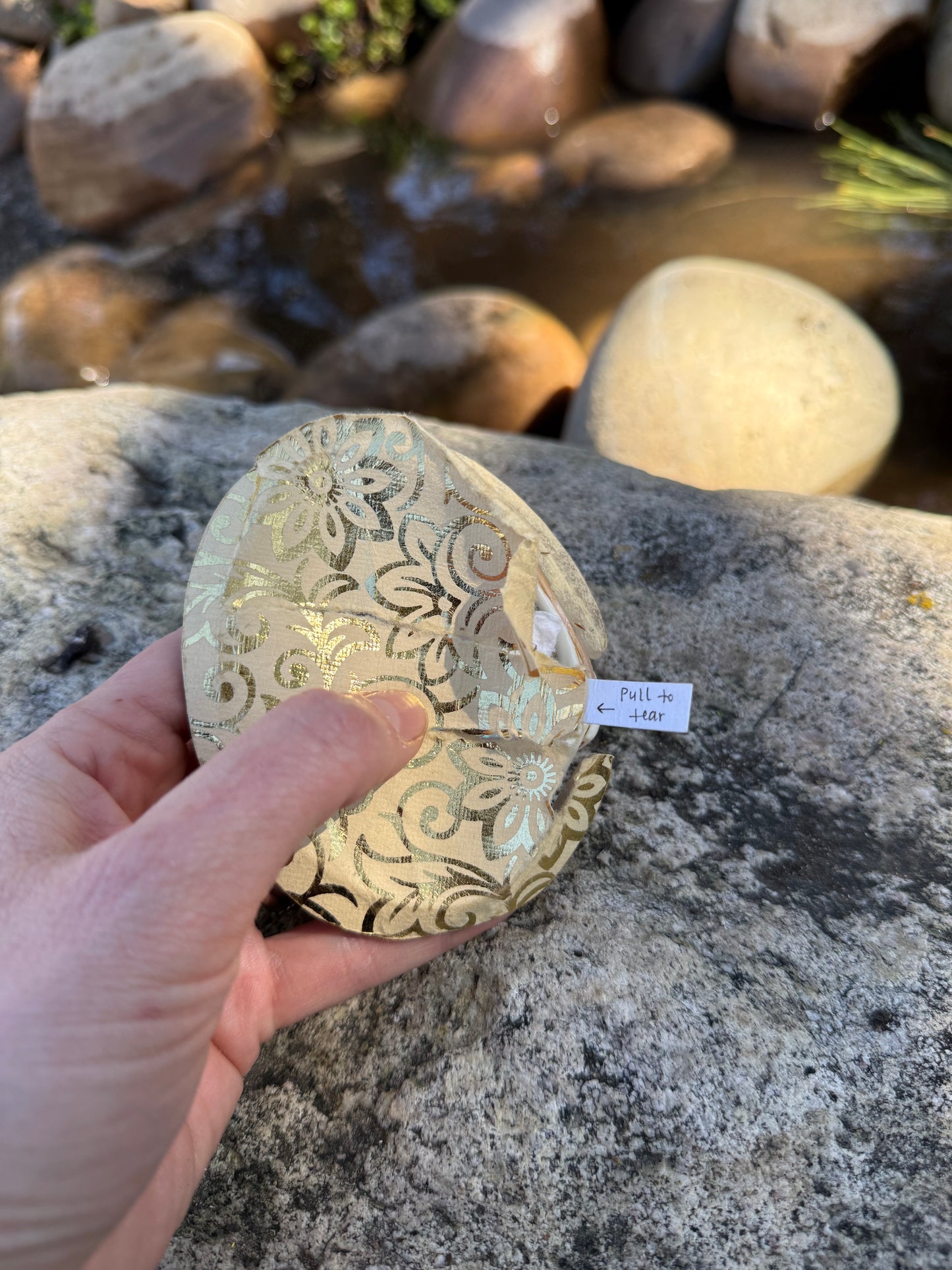 {5/9} All Ages: Treasure Shells