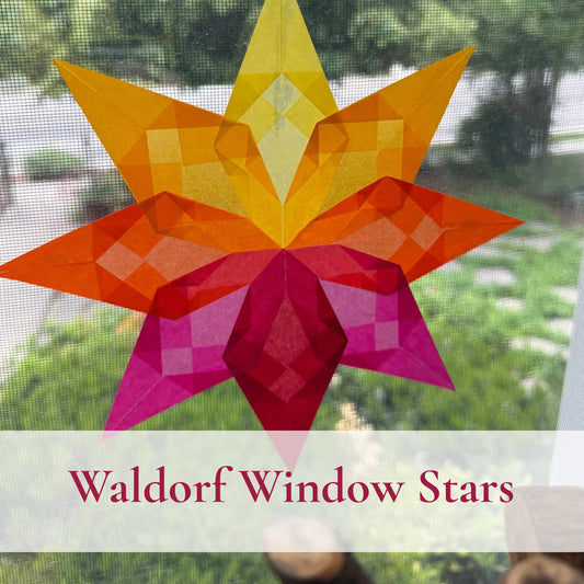 Waldor Star - Cafe Kit