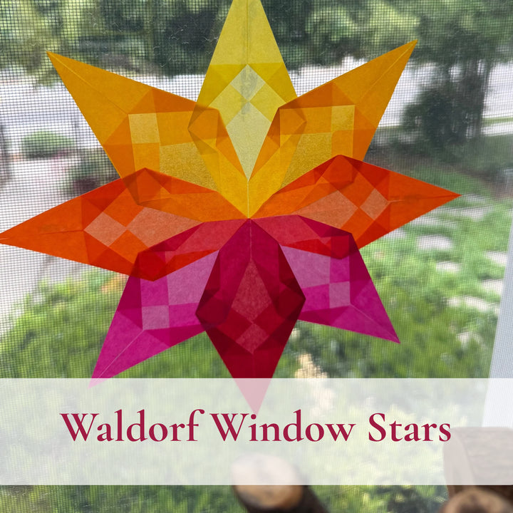 Waldor Star - Cafe Kit