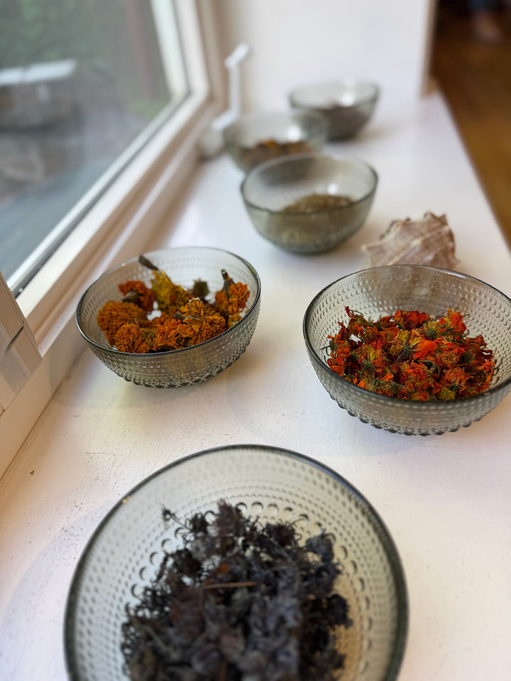 {8/27 &amp; 9/3} Intro to Botanical Dyeing: dyeing fiber and fabric with plants