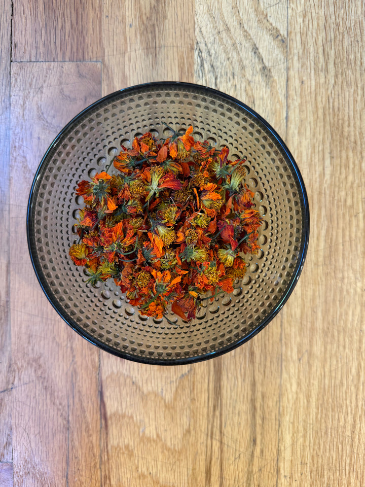 {8/27 &amp; 9/3} Intro to Botanical Dyeing: dyeing fiber and fabric with plants