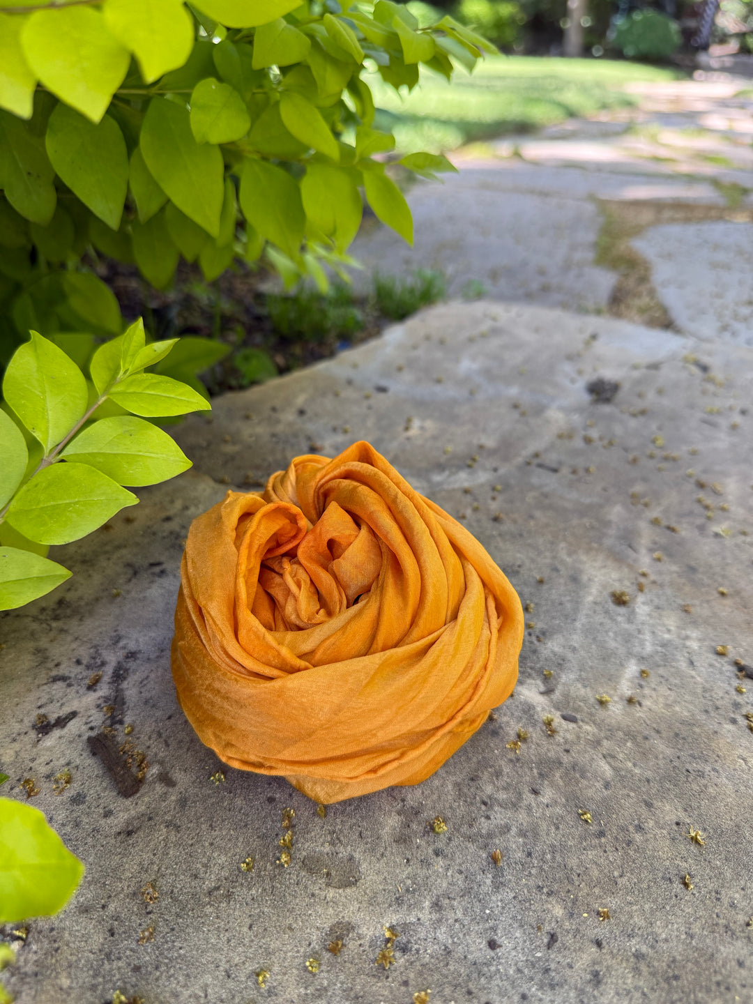 Sunshine silk in a jar