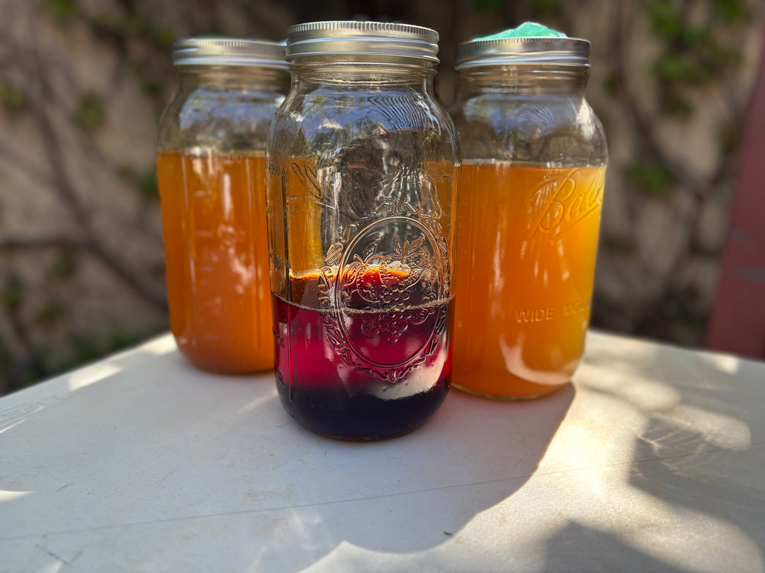 {8/27 &amp; 9/3} Intro to Botanical Dyeing: dyeing fiber and fabric with plants