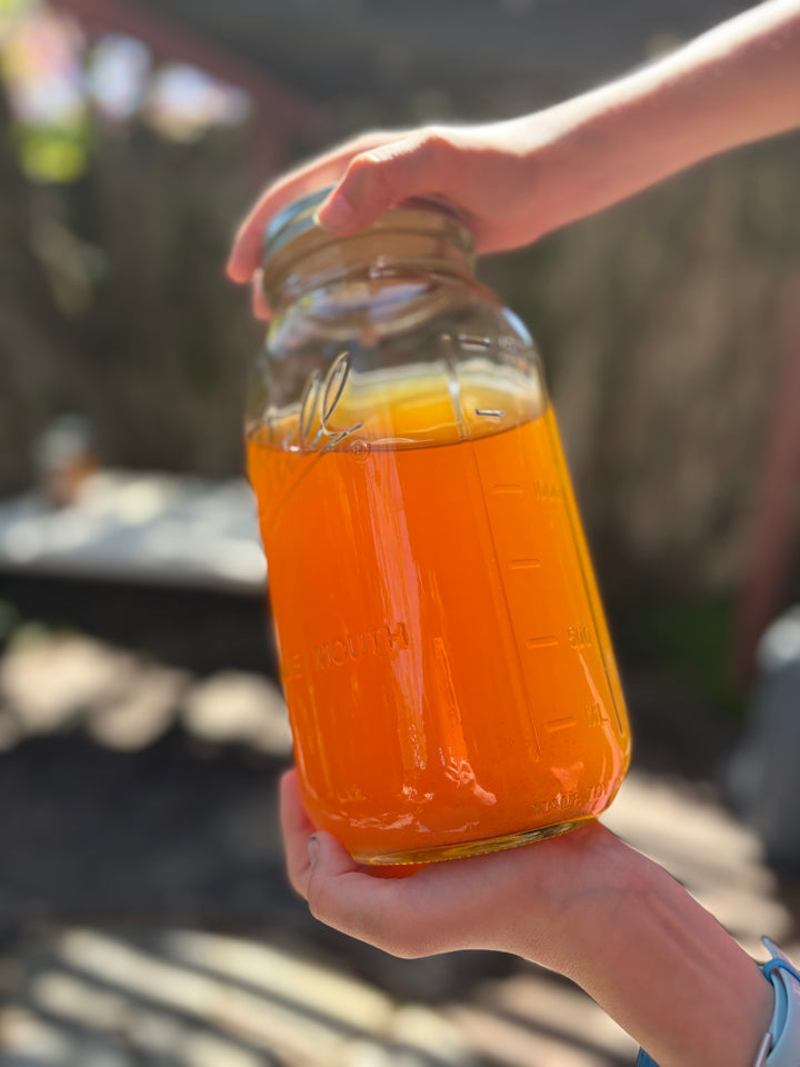 {8/27 &amp; 9/3} Intro to Botanical Dyeing: dyeing fiber and fabric with plants