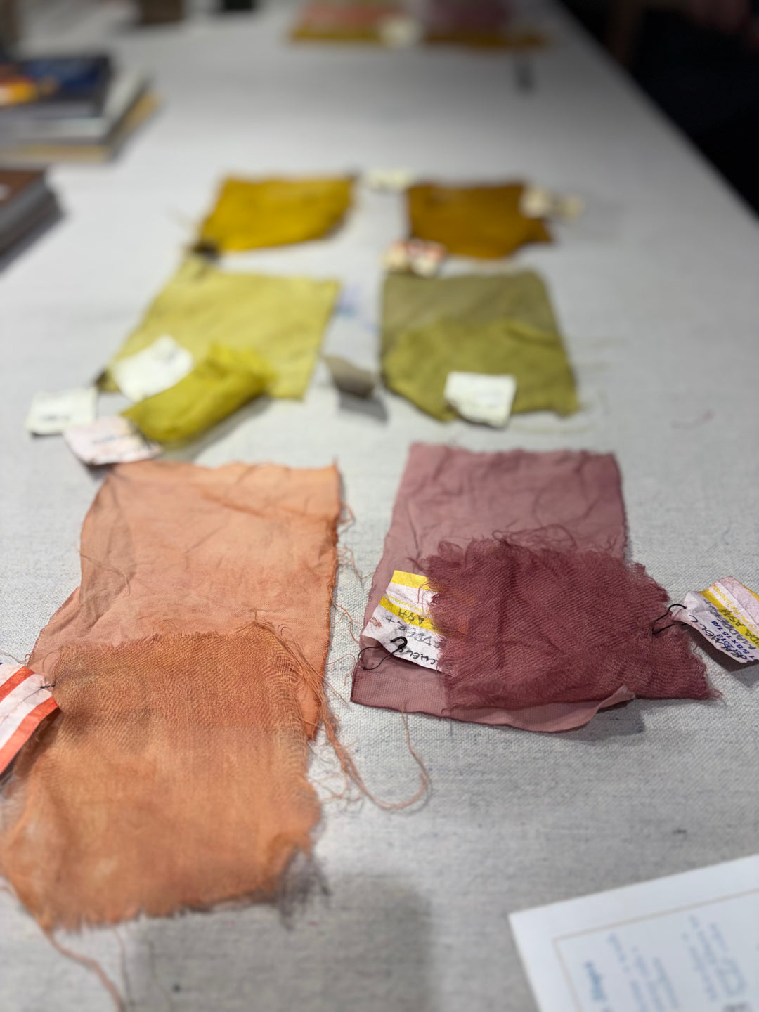 {8/27 &amp; 9/3} Intro to Botanical Dyeing: dyeing fiber and fabric with plants