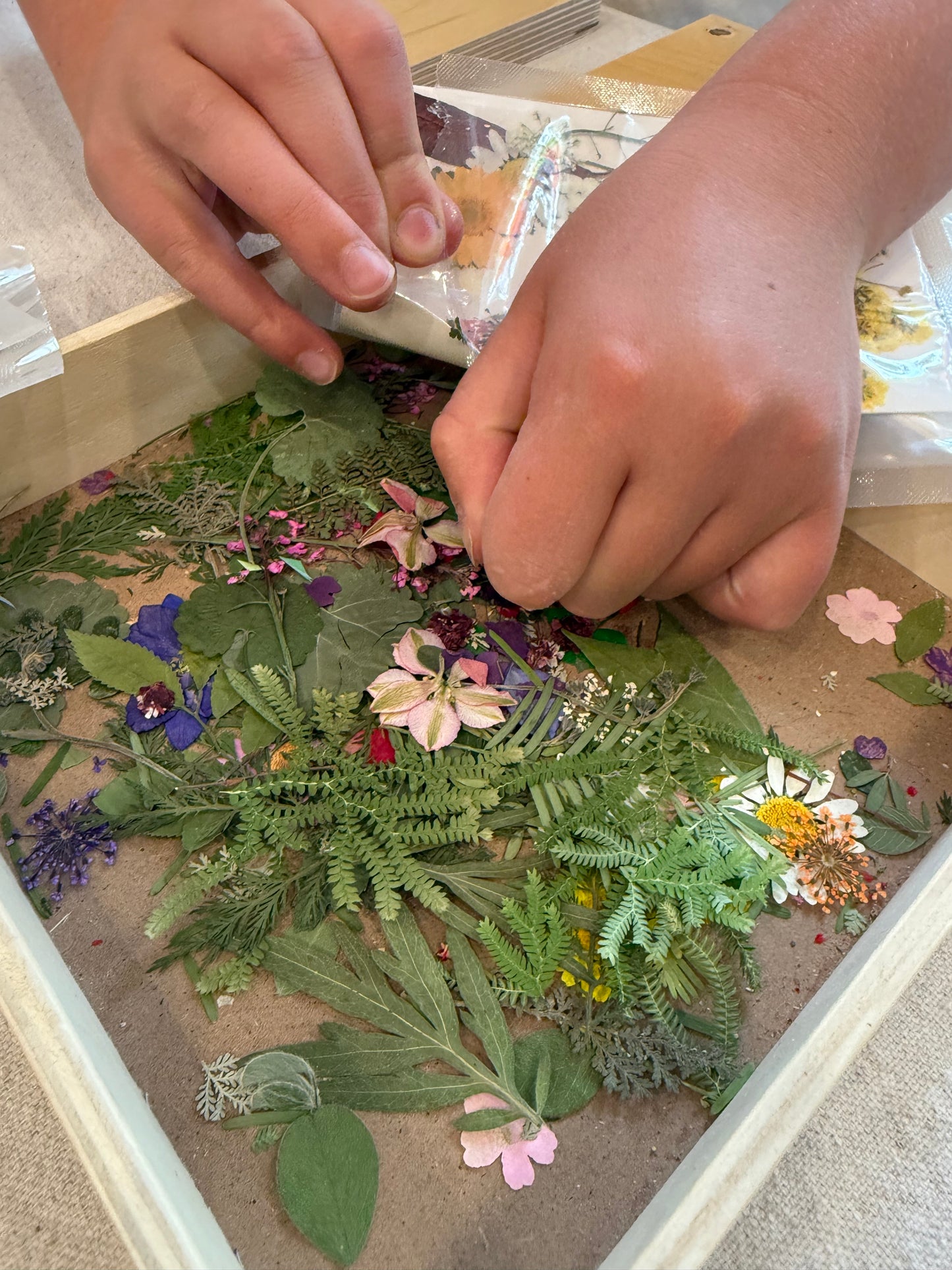 {6/29-7/2} How Does Your Garden Grow? — Summer Camp