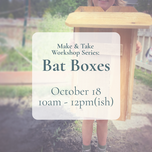 {10/18} Make & Take Workshop Series: Bat Boxes (October, All Ages)