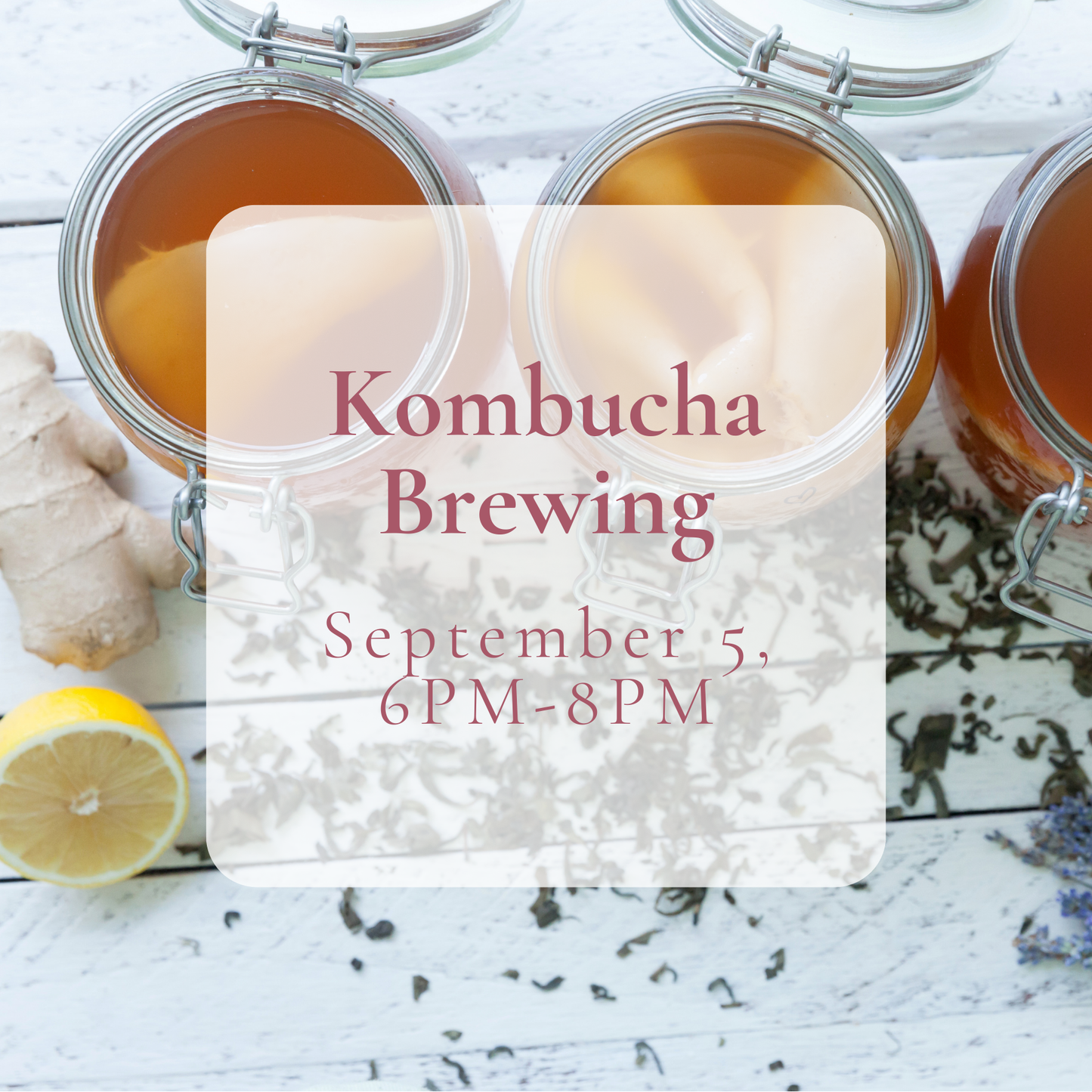 {9/5} Kombucha Brewing Basics