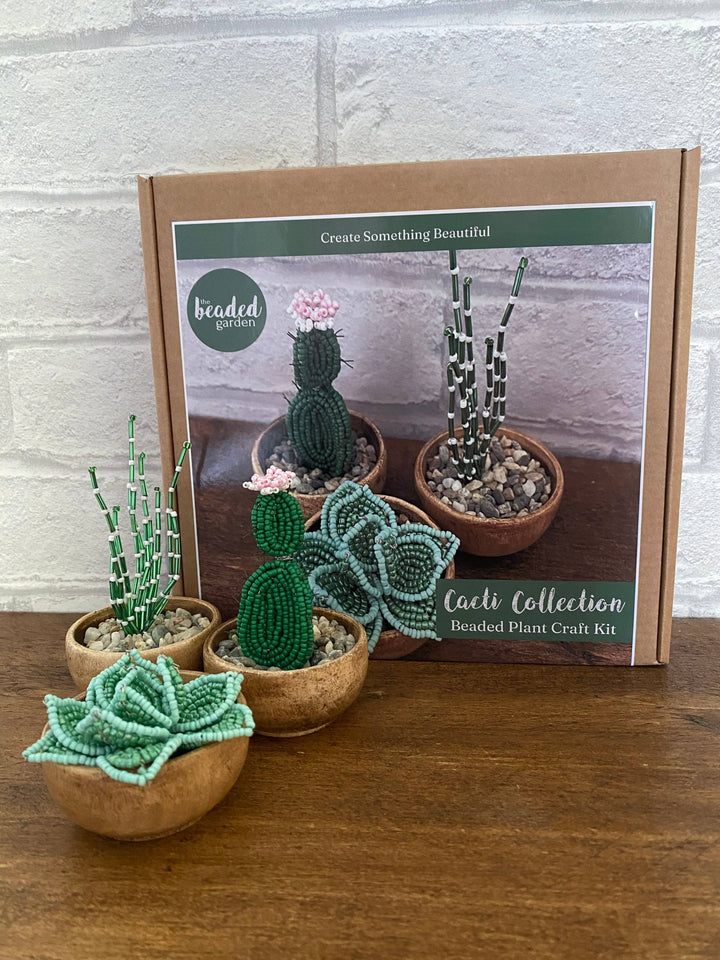 Beaded Garden Cactus Collection Craft Kit