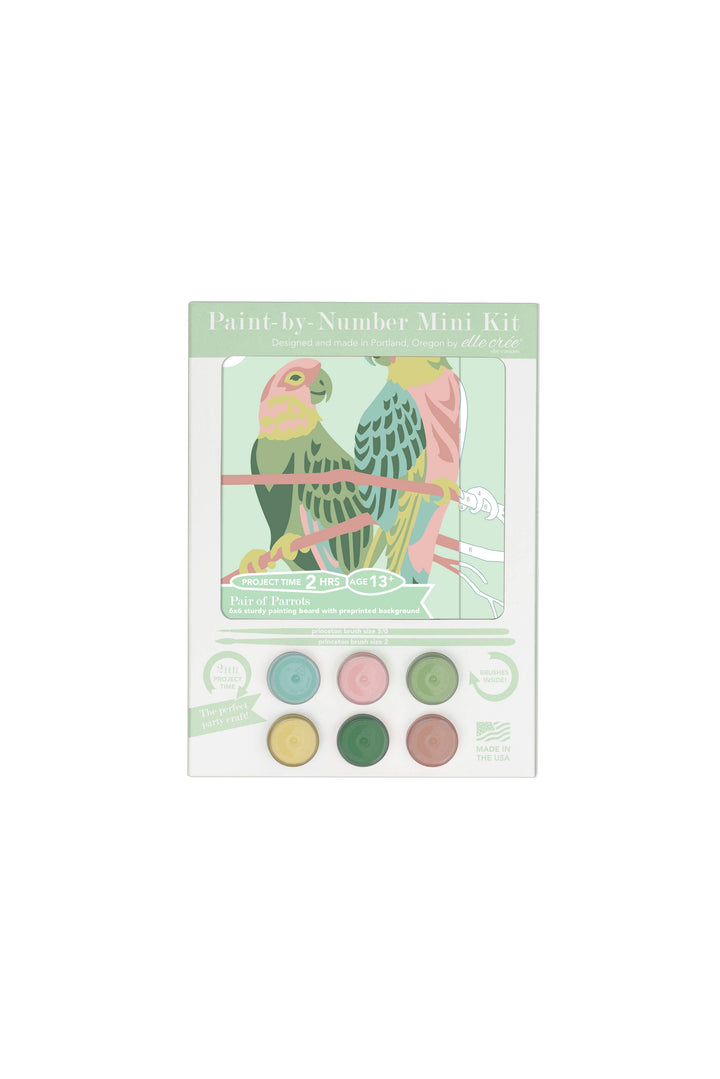 Pair of Parrots MINI Paint-by-Number Kit