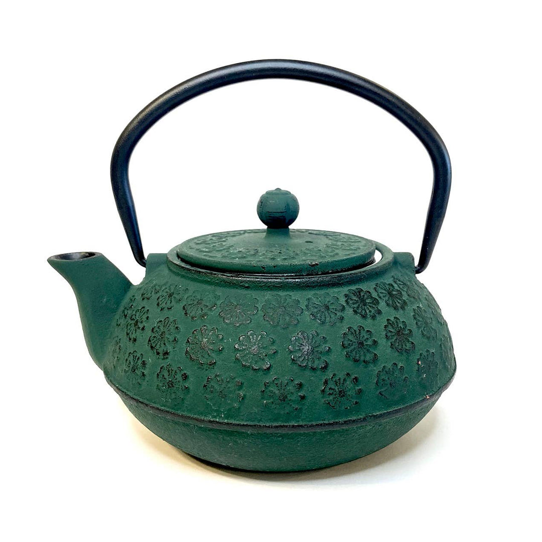 Cast Iron Teapot with Infuser