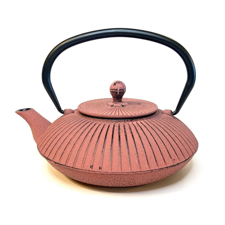 Cast Iron Teapot with Infuser