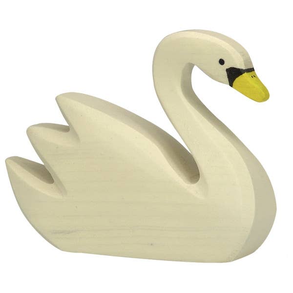 Swan, swimming