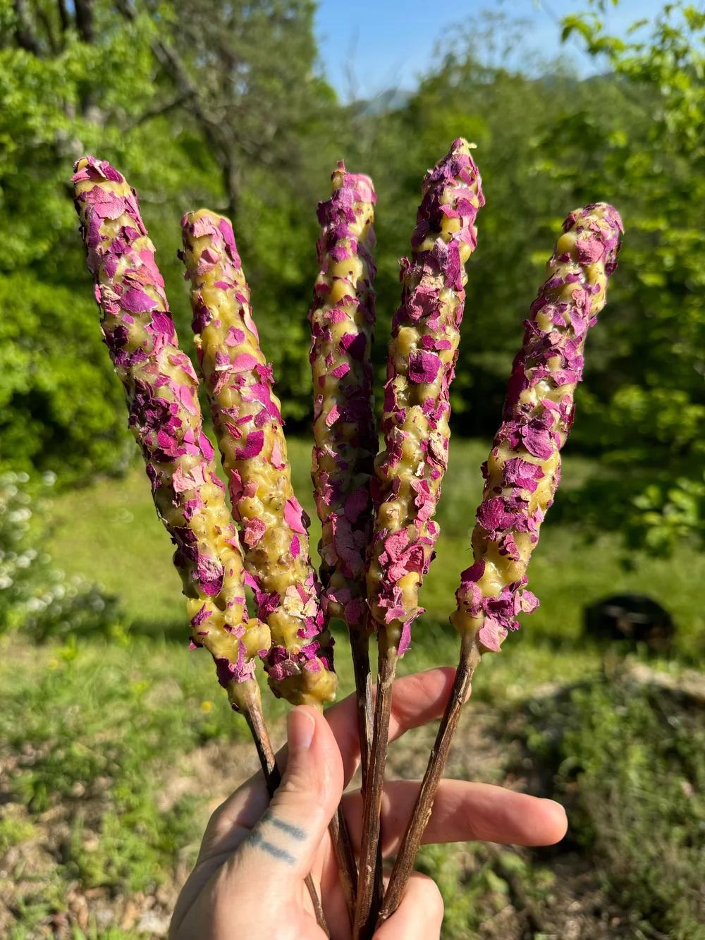 Autumn Light: A Mullein Torch Folkcraft Social